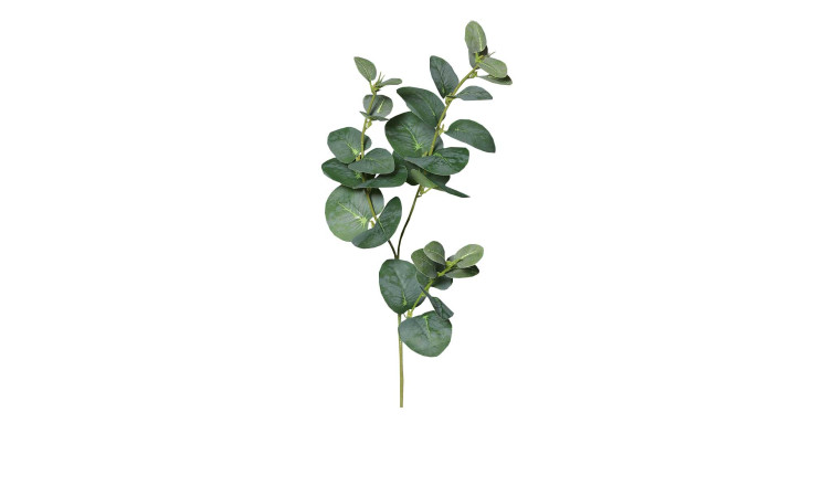 Eukalyptuszweig 64 cm aus Kunststoff in grün.