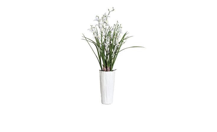 Dendobrie 93 cm hohe Vase aus cremefarbener Keramik mit langen grünen Blättern und kleinen weißen Blüten auf weißem Hintergrund.