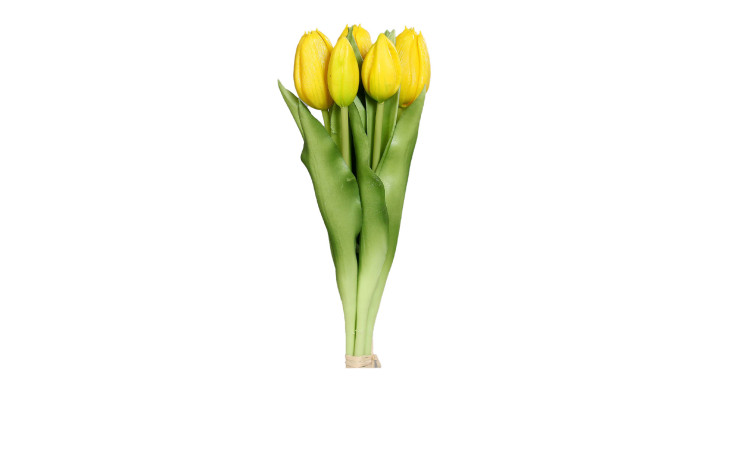 Ein 31 cm großer Tulpenbund mit gelben Tulpen und grünen Kunststoffstielen, die am Boden zusammengebunden sind.