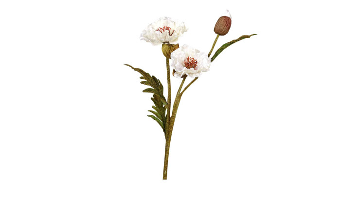 Mohn mit Blüten 63 cm aus Kunststoff in grün mit Stiel und Blätter und weißen Blüten.