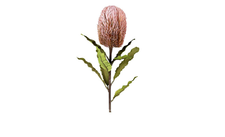 Protea 65 cm aus Kunststoff mit grünen Stiel und Blätter und rosa Blüte.