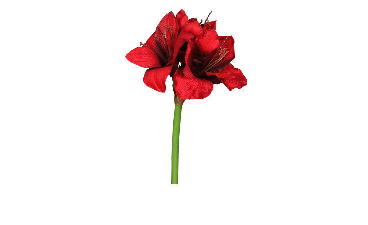 Amaryllis 50 cm aus Kunststoff mit roten Blüten mit einem grünen Stiel.