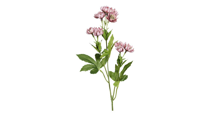 Astrantia 60 cm aus Kunststoff mit rosa Blüten und grünen Stiel und Blätter.