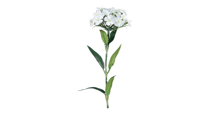 Dianthus 55 cm aus Kunststoff mit weißen Blüten und grünen Stiel und Blätter.