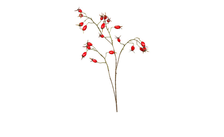 Hagebuttenzweig 78 cm aus Kunststoff in rot.