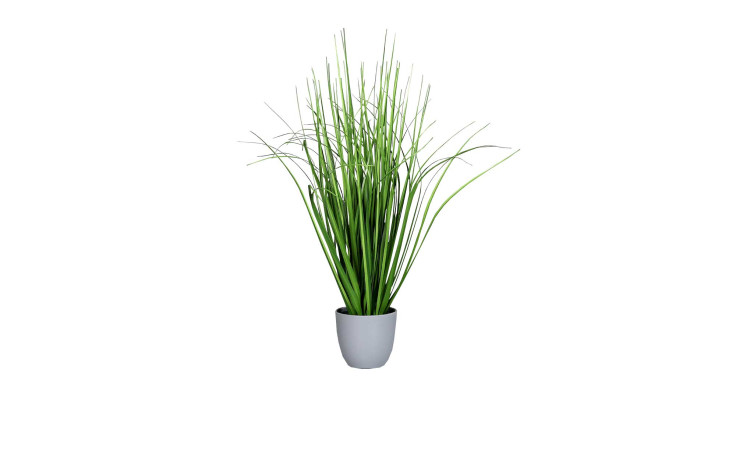Grasarrangement 60 cm in einem grauen Pflanztopf