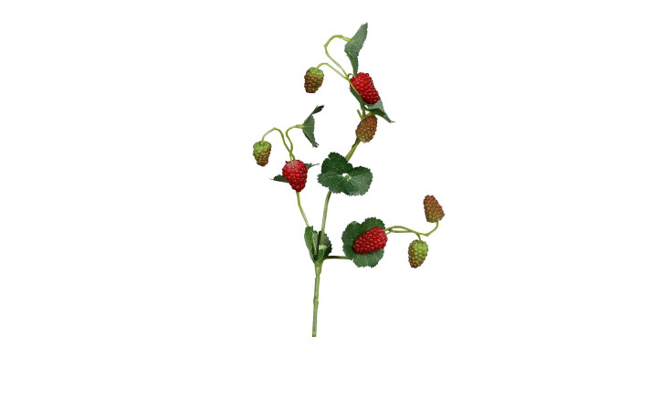 Himbeerzweig 44 cm 