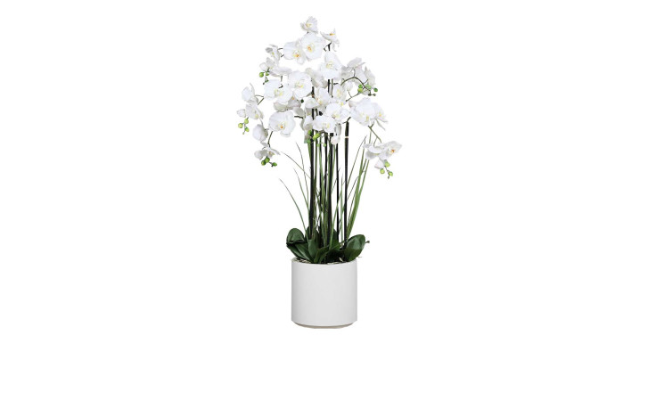 Orchideen-Arrangement 120 cm in weiß