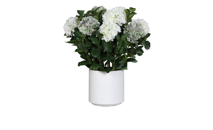 Hortensien-Arrangement 74 cm mit weißen und hellvioletten Blüten und grünen Blättern in weißer Keramikvase.