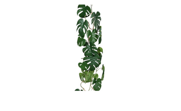 Monstera Ranke 115 cm mit großen, gespaltenen grünen Blättern in Plastik, die vertikal vor einem weißen Hintergrund hängen.