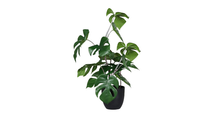 Die Monstera 47 cm ist eine Topfpflanze aus grünem Kunststoff mit großen gespaltenen Blättern, die vor einem weißen Hintergrund abgebildet ist.