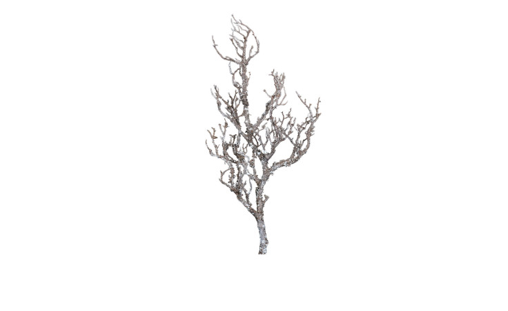 Ast 81 cm, dunkelbraun aus Kunststoff, mit mehreren Zweigen, einzeln vor weißem Hintergrund.