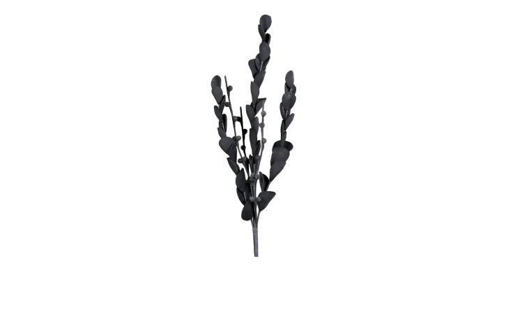 Ein einzelner Eukalyptuszweig (119 cm) mit kleinen ovalen Blättern auf weißem Grund.