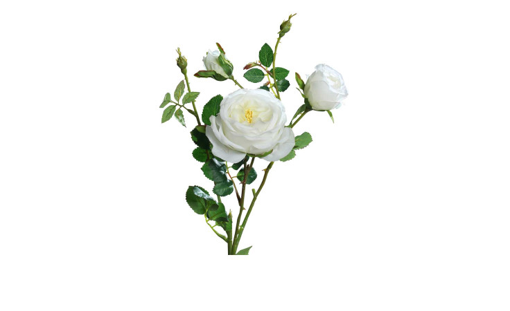 Rose 60 cm aus Kunststoff mit weißen Blüten und grünen Stiel und Blätter.