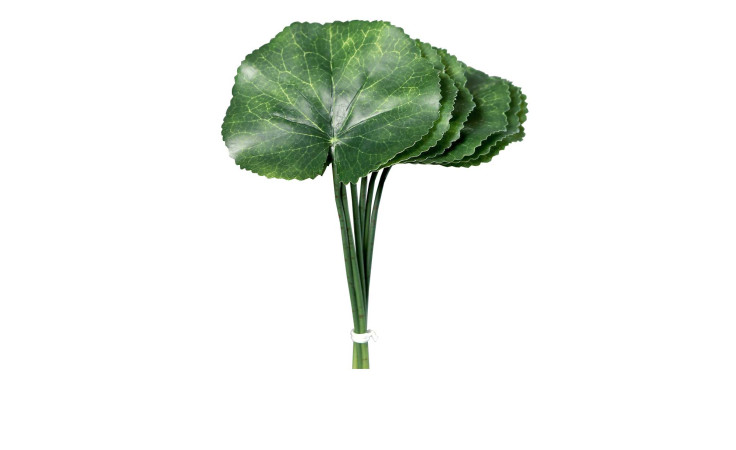 Galax-Blatt 24 cm sechs Blätter aus Kunststoff in grün.