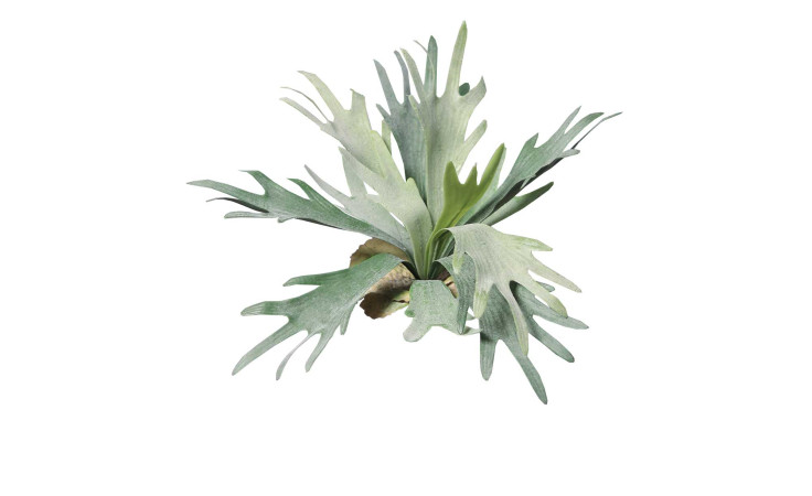 Geweihfarn 33 cm aus Kunststoff in grün.