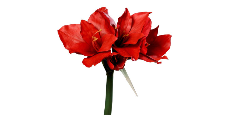 Amaryllis 56 cm aus Kunststoff mit roten Blüten und einem grünen Stiel.
