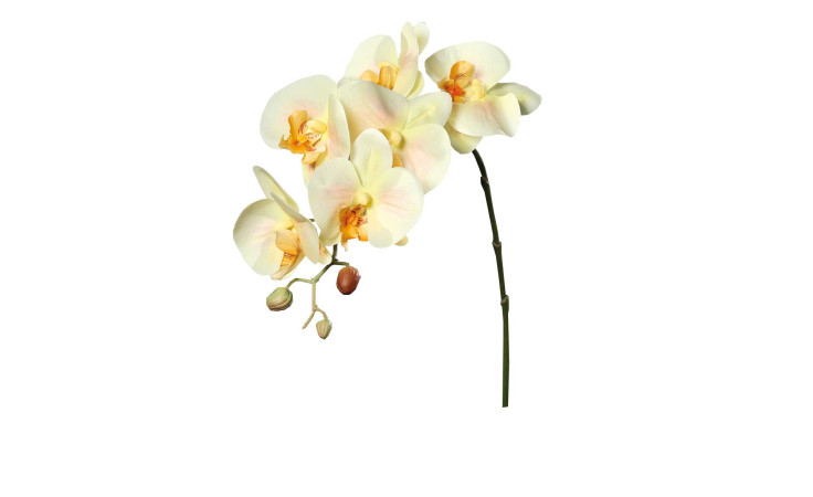Orchidee 78 cm aus Kunststoff mit gelb / rosa Blüten und einem grünen Stiel.