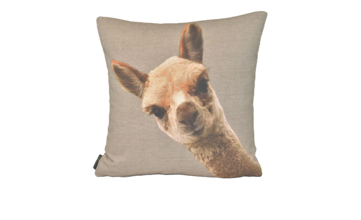 Kissenhülle Happy 45 x 45 cm mit grauem Alpakadruck, ideal zur Kombination mit einem bunten Teppich in modernen Räumen.