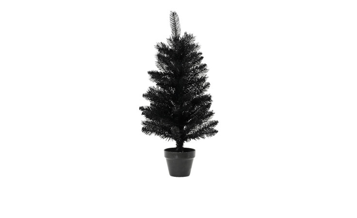 Ein 60 cm Mini-Tannenbaum Berlin im schwarzen Topf, isoliert vor weißem Hintergrund.