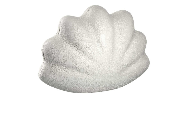 Muschel Salerno 10 cm in beige