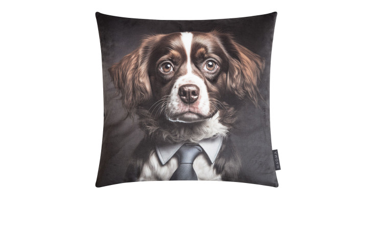 Kissenhülle Arty Animals Hund 45x45 cm mit Hunde-Motiv im Anzug auf dunklem Hintergrund, aus weichem Samt.