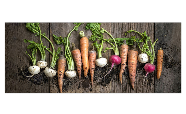 Glasbild Gemüse 50 x 125 cm, mit Gemüse