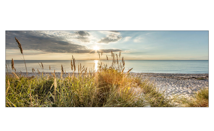 Glasbild Wilder Strand 30 x 80 cm Strandlandschaft mit Sonnensuntergang 