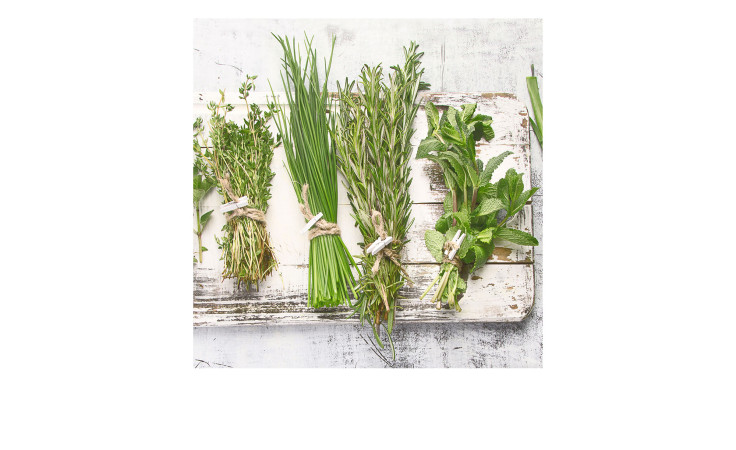 Glasbild Cook Me 30 x 30 cm, Kräuter