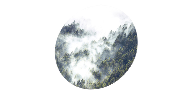 Glasbild Mystic Forest 30 cm, Wald von oben