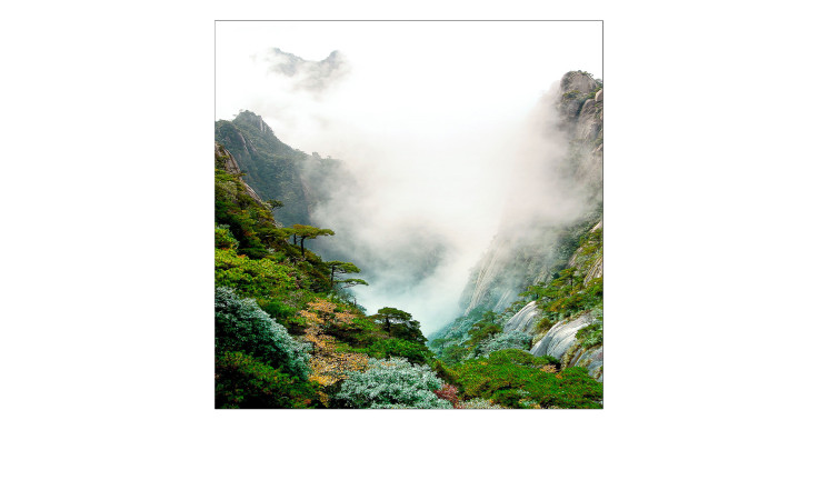 Glasbild Misty Valley 30 x 30 cm. Glasbild mit dem Thema - Natur.