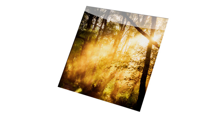 Glasbild Mystic Light 20 x 20 cm. Glasbild mit dem Thema - Licht und Wald.