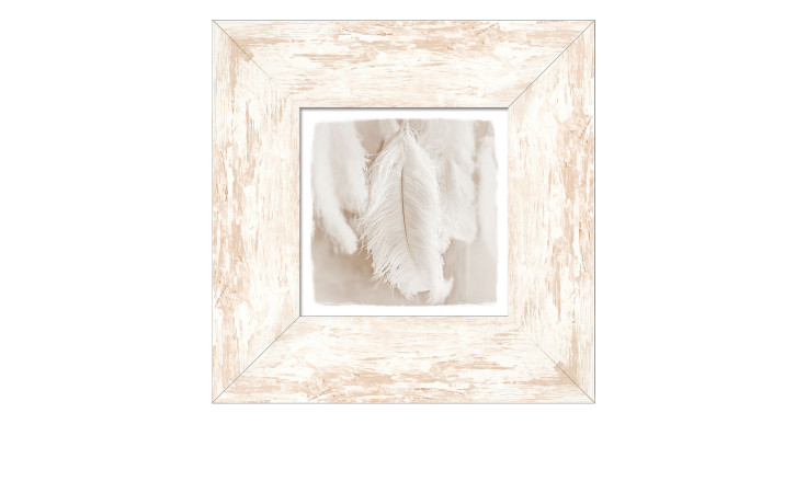 Rahmenbild The Feather 34 x 34 cm. Rahmenbild mit dem Thema - Feder.