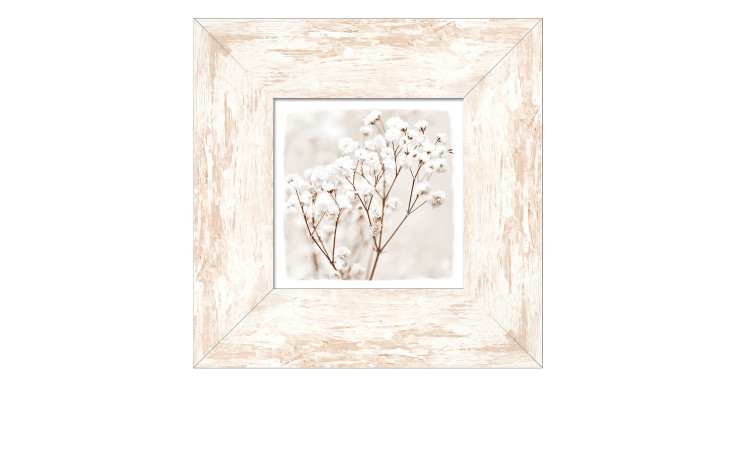 Framed-Art Dried Fiber in the Wind 34 x 34 cm. Rahmenbild mit dem Thema - Blumen.