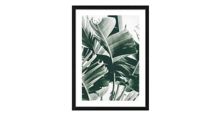 Rahmenbild Jungle Leaves 55 x 75 cm. Rahmenbild mit dem Thema - Blätter.