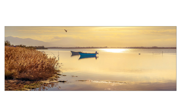 Das Pro-Art Leinwandbild Sunshine on the Lake 30x80cm ist eine perfekte mehrfarbige Wanddekoration auf Holzwerkstoff.