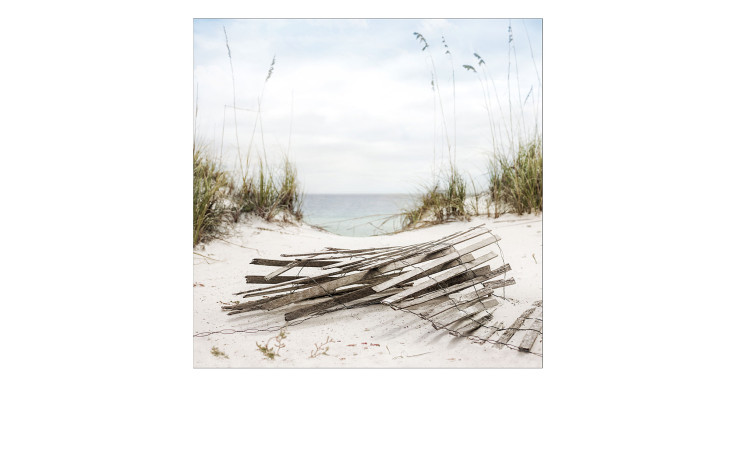 Das Pro-Art Leinwandbild Sea View 30 x 30 cm zeigt einen verwitterten Zaun auf Dünen mit Gras, der zu einem ruhigen Meeresufer führt.