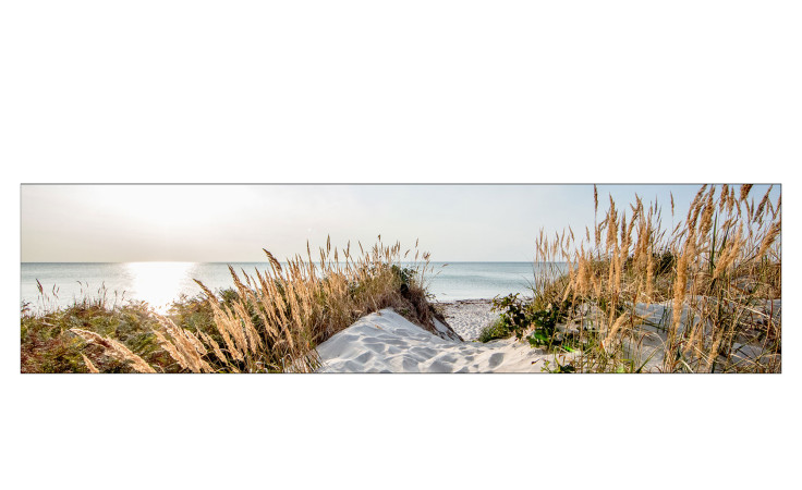 Ein sandiger Strandweg mit hohen Gräsern führt zum ruhigen Meer, das Pro-Art Alubild Sunrise 50x200cm bei Sonnenaufgang zeigt.