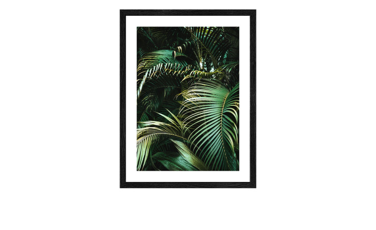 Das Rahmenbild Jungle Leaves I 24 x 19 cm von Pro-Art zeigt üppige Palmenblätter auf MDF in einem dichten, tropischen Muster.