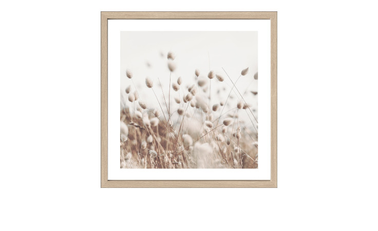 Pro-Art Rahmenbild Getrocknete Fasern im Wind 53x53 cm: Beige Gräser, Holzwerkstoff & Glas, minimaler Naturlook.
