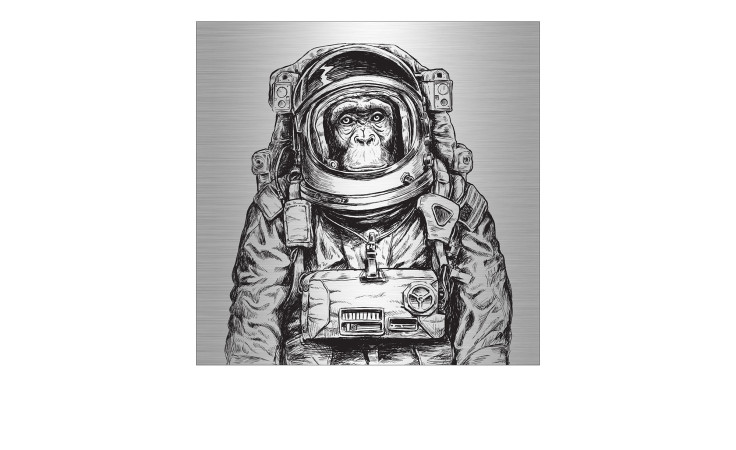 Ein detaillierter schwarz-weißer Schimpansen-Astronaut von Pro-Art, Alubild First Astronaut, 98x98 cm.