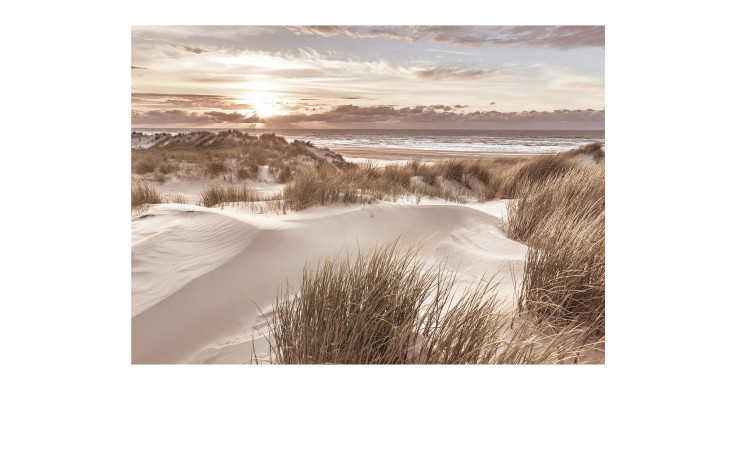 Alubild Beach at Sunrise 70x100 cm von Pro-Art, eine farbenfrohe Wanddekoration aus Metall für Ihren ruhigen Raum.