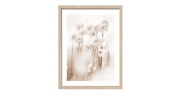 Pro-Art Rahmenbild Getrocknete Faser 33 x 43 cm: Sepia Pusteblumen, Glasfront, Holzwerkstoffrahmen, weich verschwommener Hintergrund.