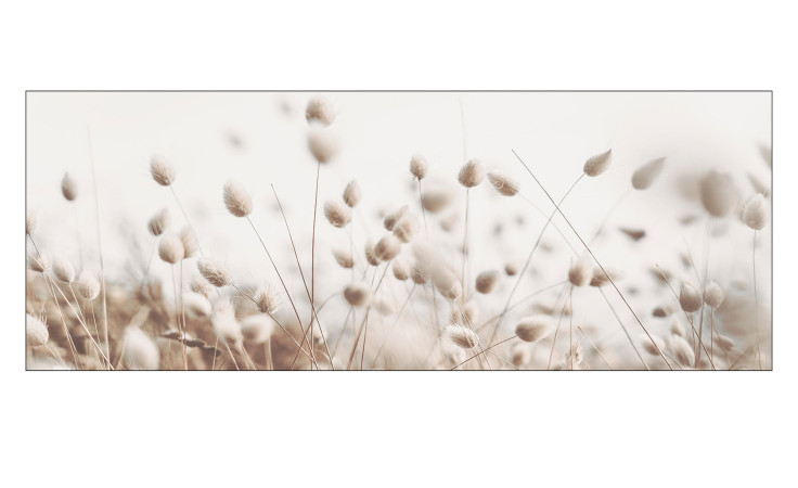 Das Pro-Art Leinwandbild Dried Fiber in the Wind 30 x 80 cm verleiht Ihrer Wanddekoration einen beruhigenden, beigen Touch.