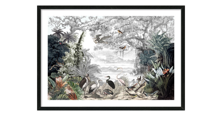 Rahmenbild Birds In The Jungle I von Pro-Art, 75x100 cm, zeigt Vögel und Pflanzen in einer lebhaften tropischen Dschungelszene.