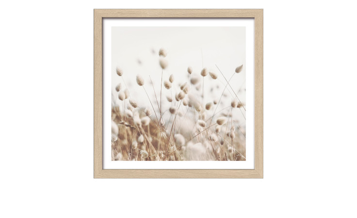 Pro-Art's Rahmenbild Getrocknete Faser IV (28x28 cm): Gerahmtes Foto von beigen Grassamenköpfen auf neutralem Hintergrund.