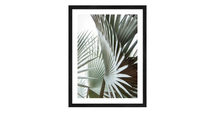 Pro-Art Rahmenbild Jungle Leaves III 42,5x32,5 cm mit grünen Palmblättern hinter Glas und MDF-Rahmen.