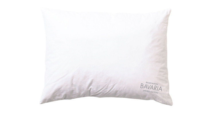 Ein schlichtes Füllkissen 30 x 50 cm mit BAVARIA LIMITED EDITION in grau in der rechten unteren Ecke.