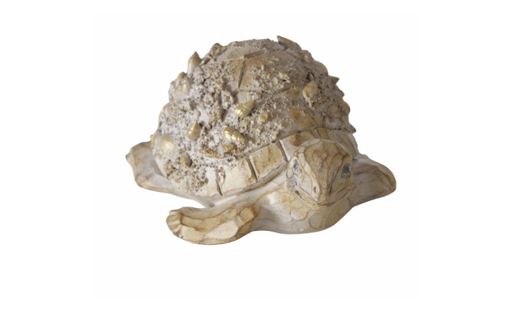 Schildkröte Elysia: Eine braune Kunststoff-Schildkröte mit Sand und Muscheln auf weißem Hintergrund.