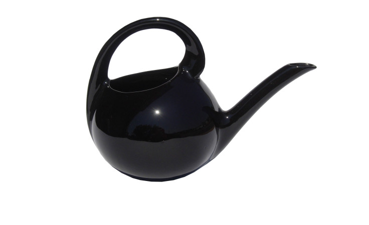 Die Gießkanne Schwarz 1,5 L ist eine glänzend schwarze Gießkanne mit rundem Körper, gebogenem Griff und langem Ausguss.